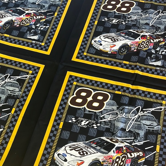 Dale Jarrett 2002 Pillow Panels 15x15 - Picture 3 of 6